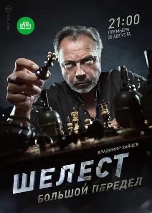 Шелест. Большой передел (сериал 2017)