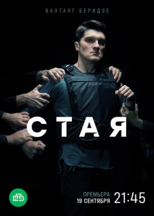 Стая (сериал 2022)